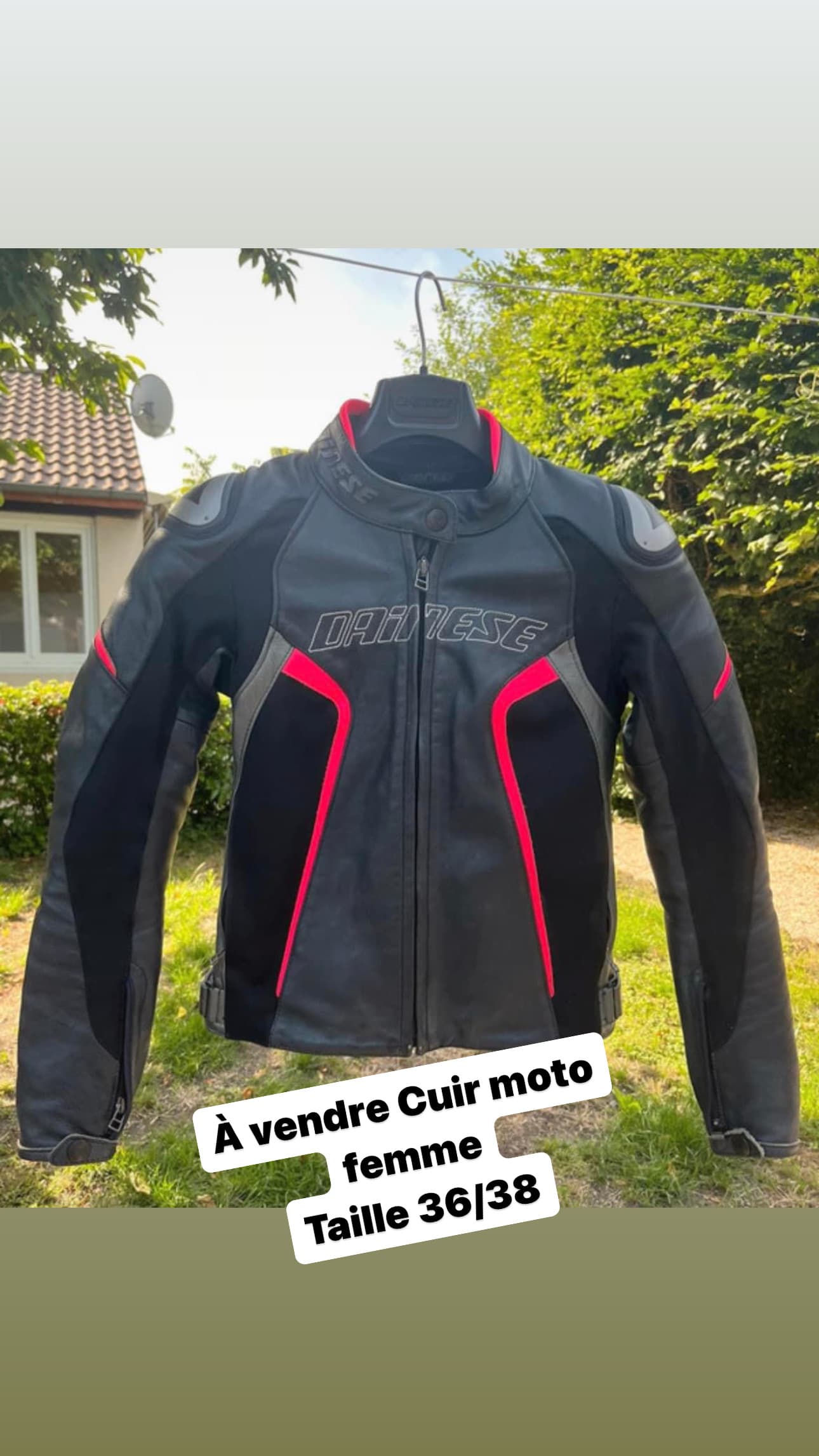 Cuir Dainese