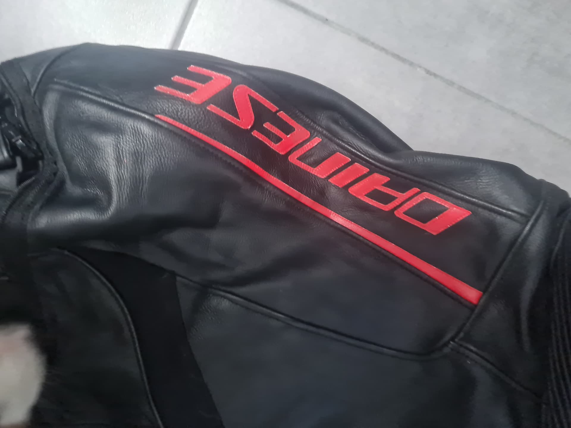 Pantalon cuir homme dainese — photo 4/4