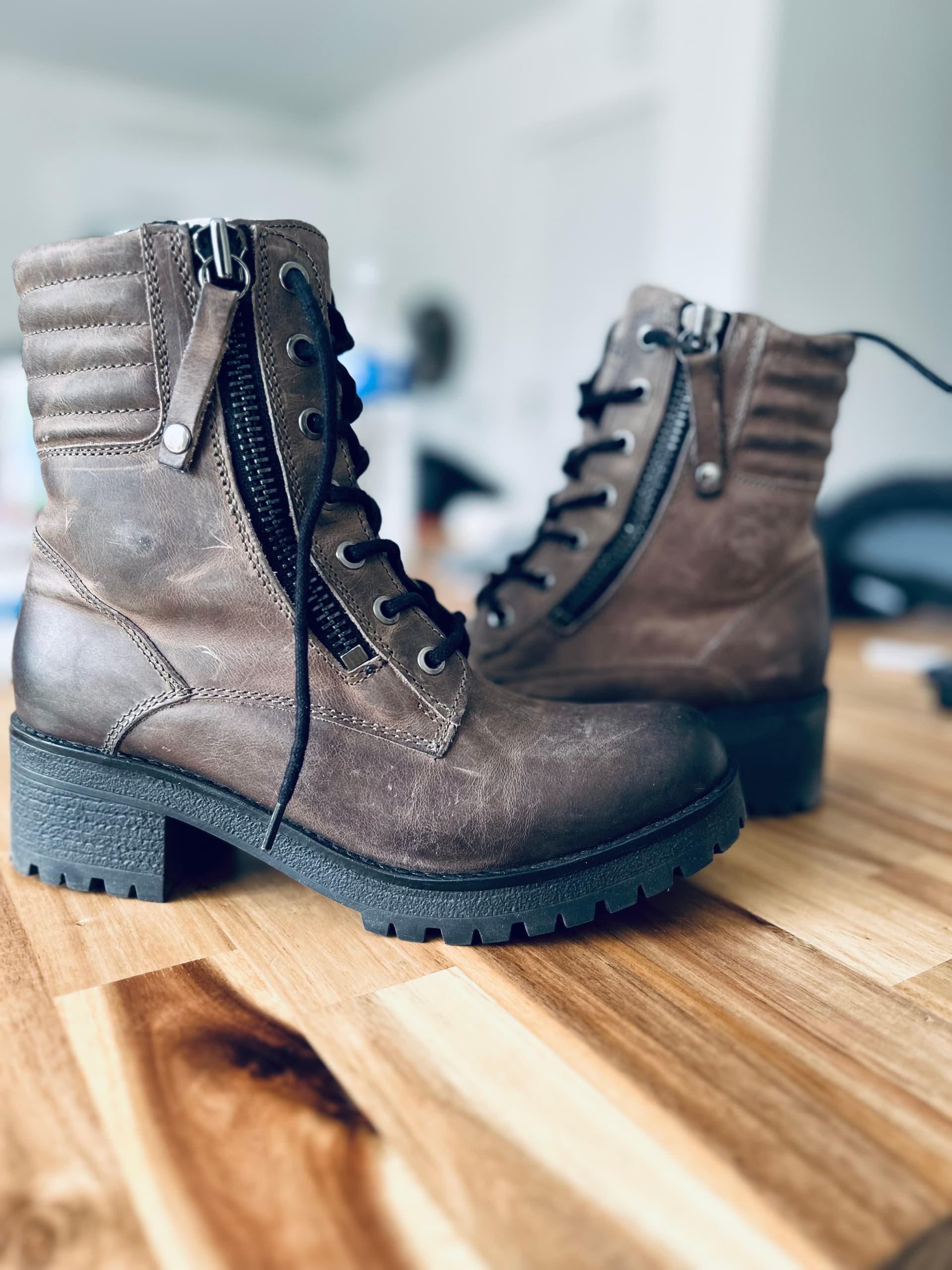 Bottes Falco Misty — photo 5/5
