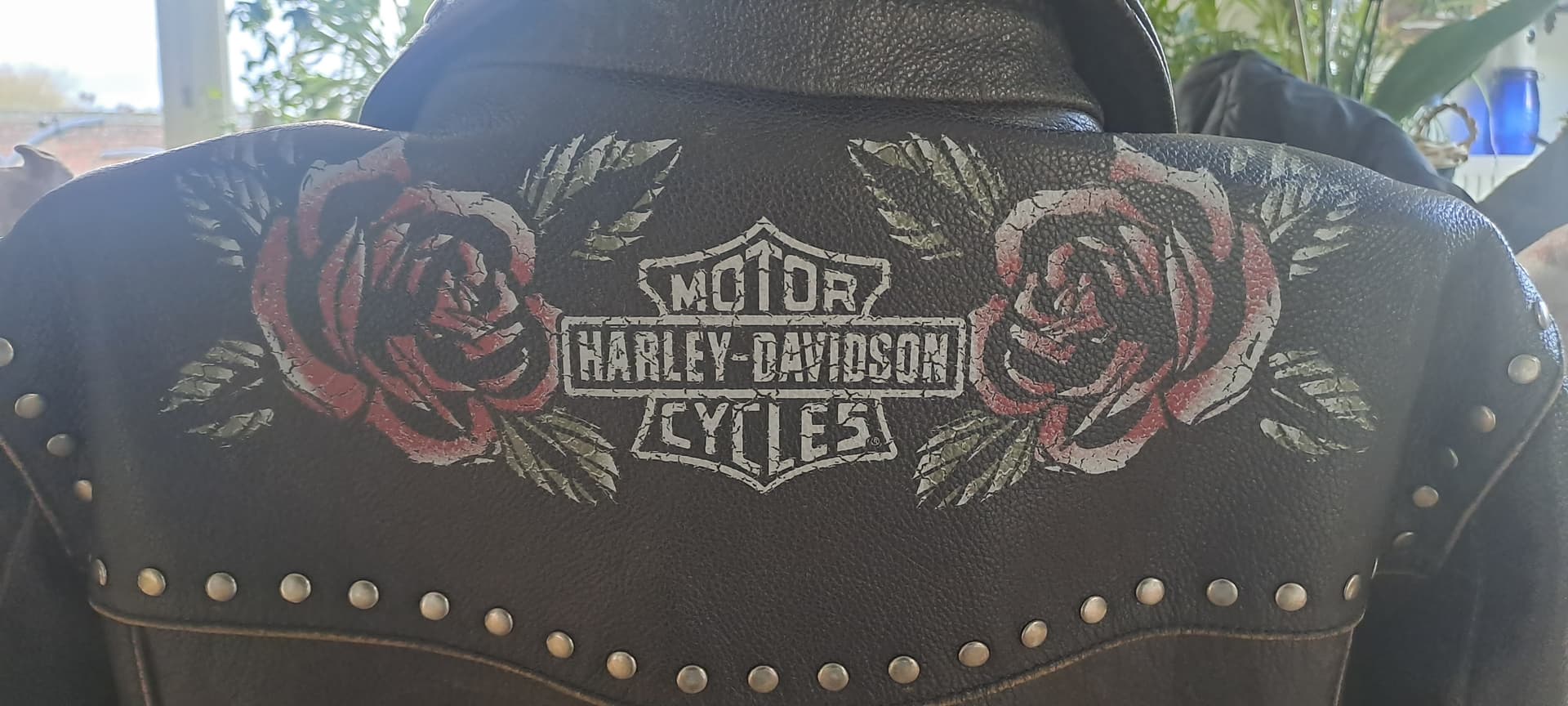 Blouson cuir femme Harley Davidson — photo 5/5