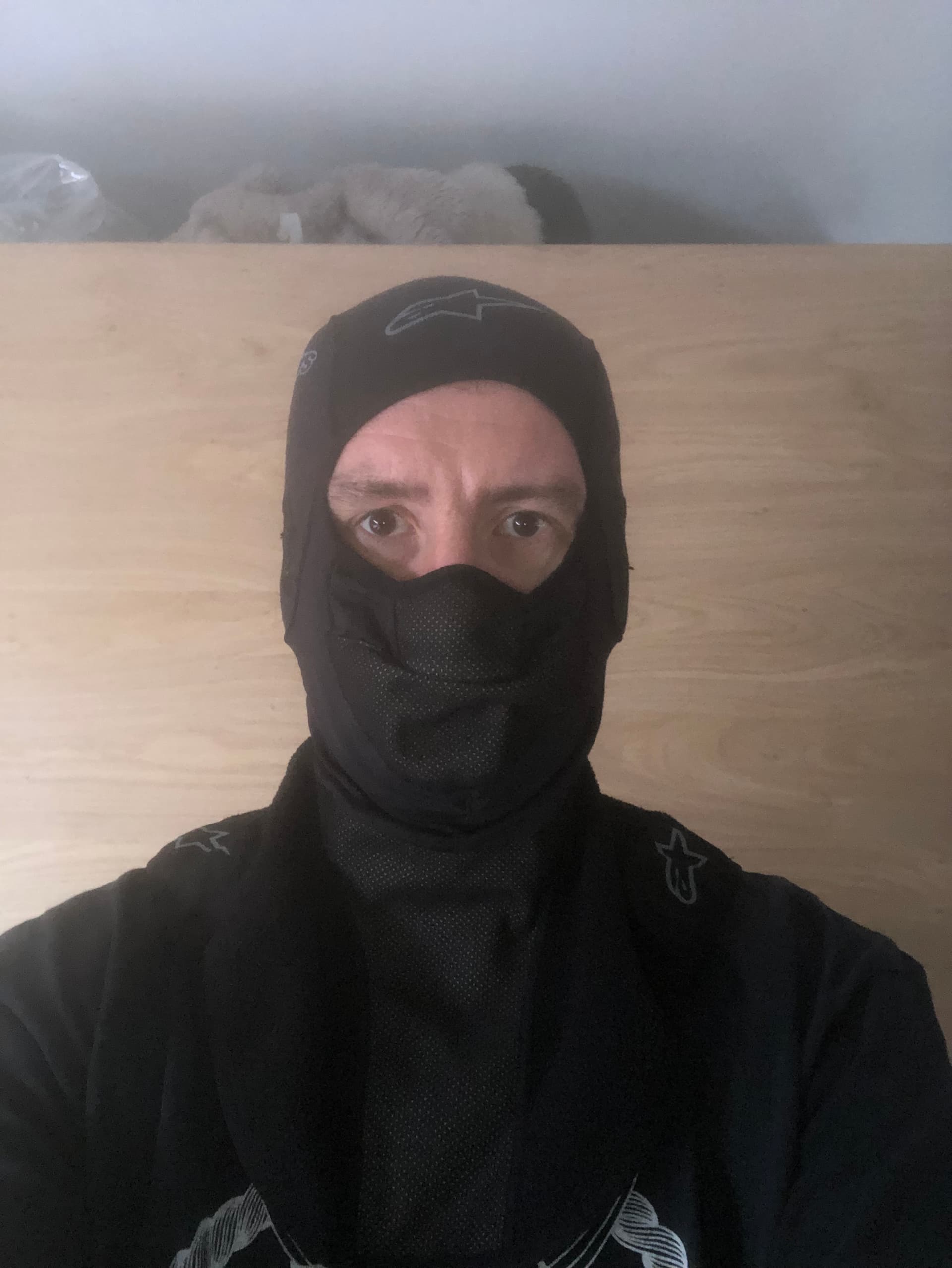 Cagoule hiver alpinestars — photo 1/2