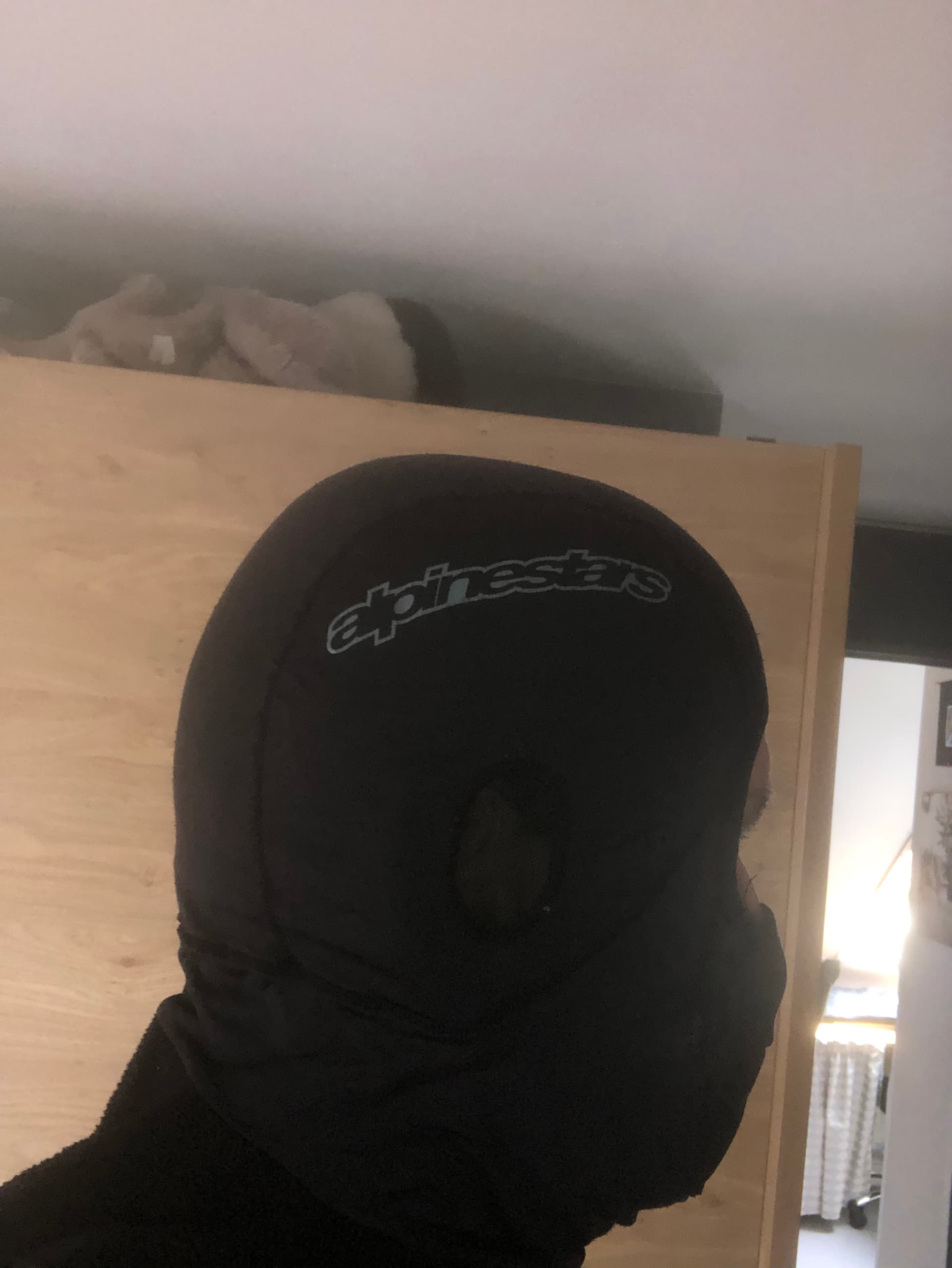 Cagoule hiver alpinestars — photo 2/2