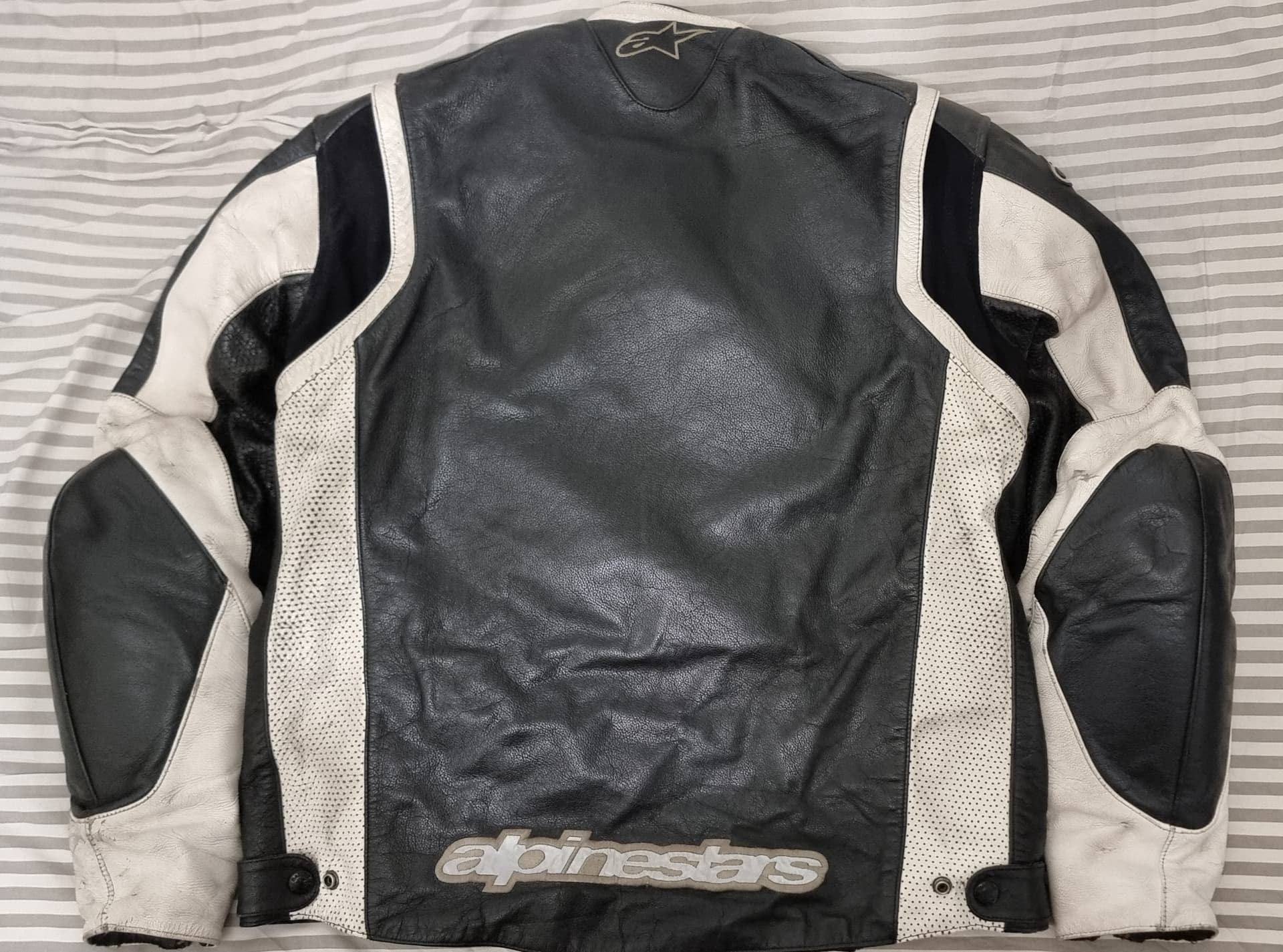 Blouson Alpinestars Cuir Noir/Blanc — photo 2/5