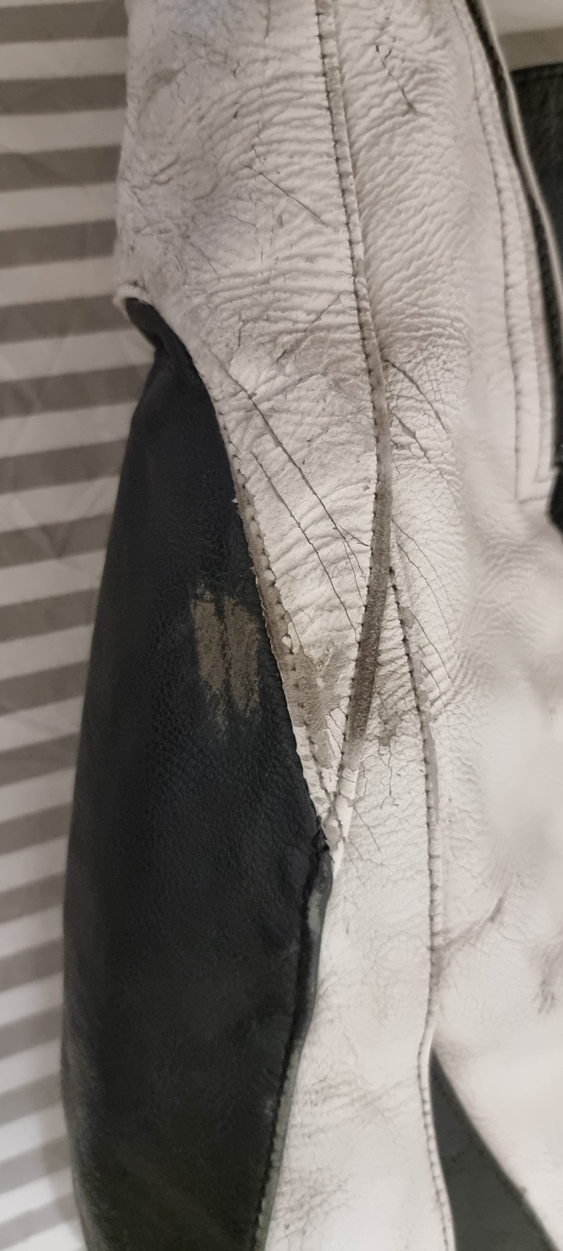 Blouson Alpinestars Cuir Noir/Blanc — photo 5/5