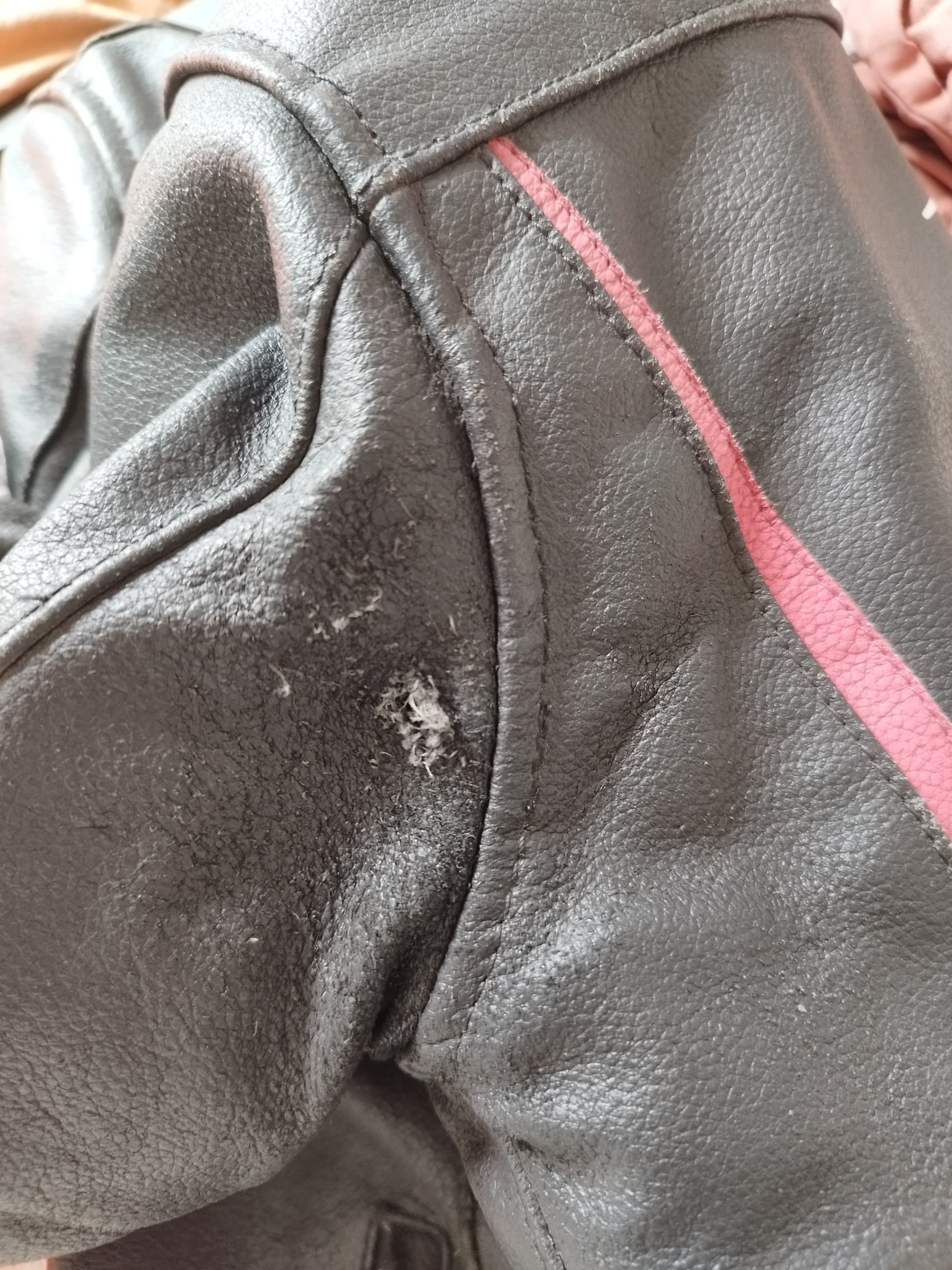 Blouson en cuir Bering Lady Gangsta T2 — photo 5/7