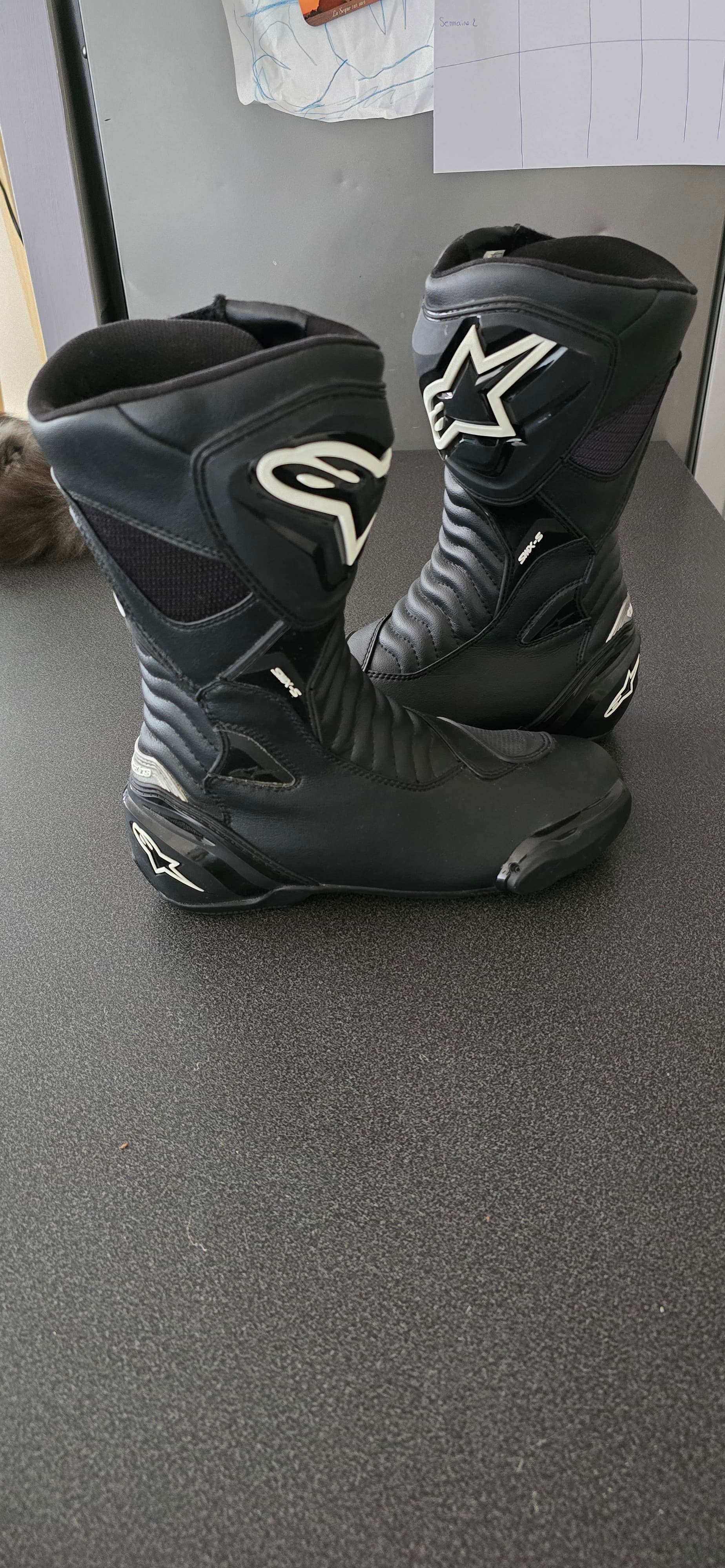 Botte alpinestar — photo 1/4