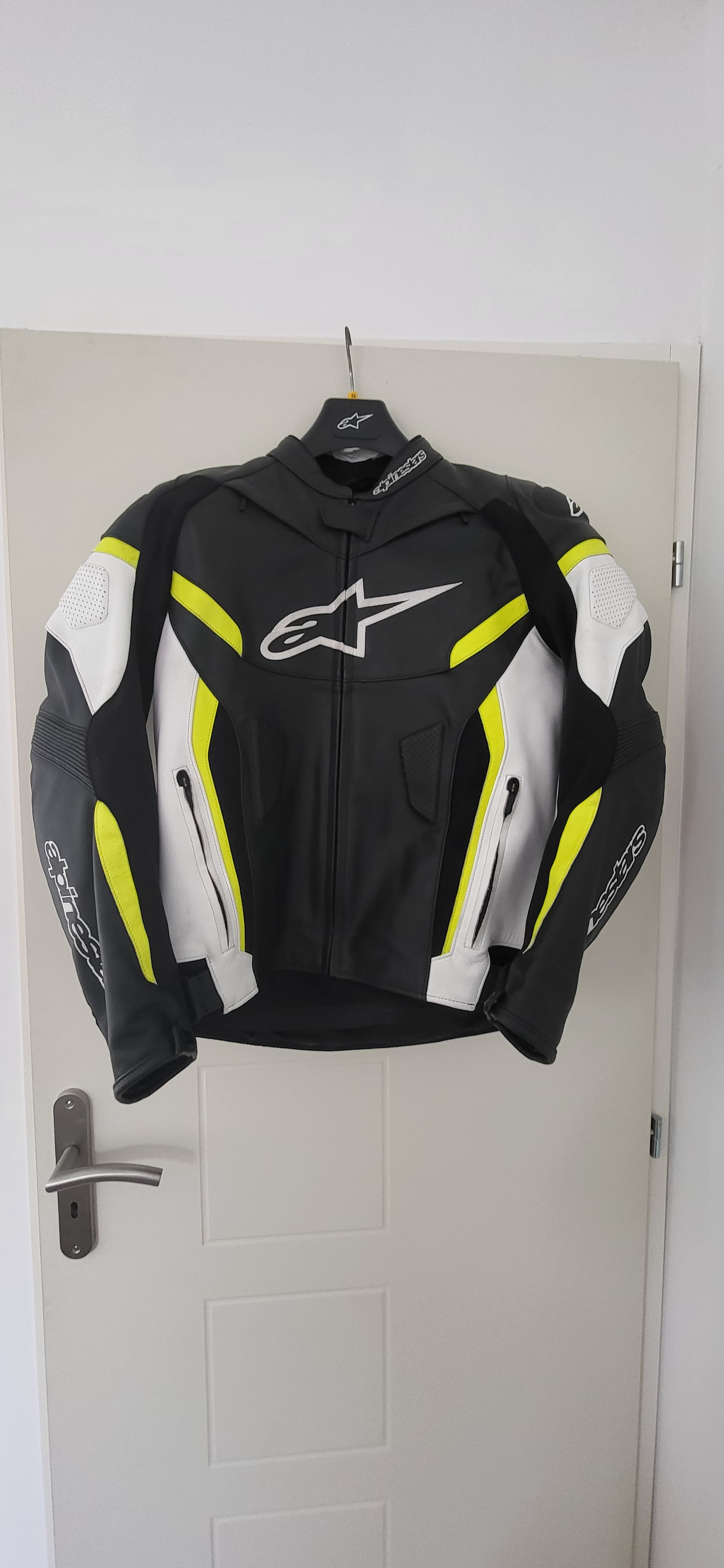 Veste moto cuir Alpinestar GP plus R v2 LEATHER JACKET - — photo 2/4
