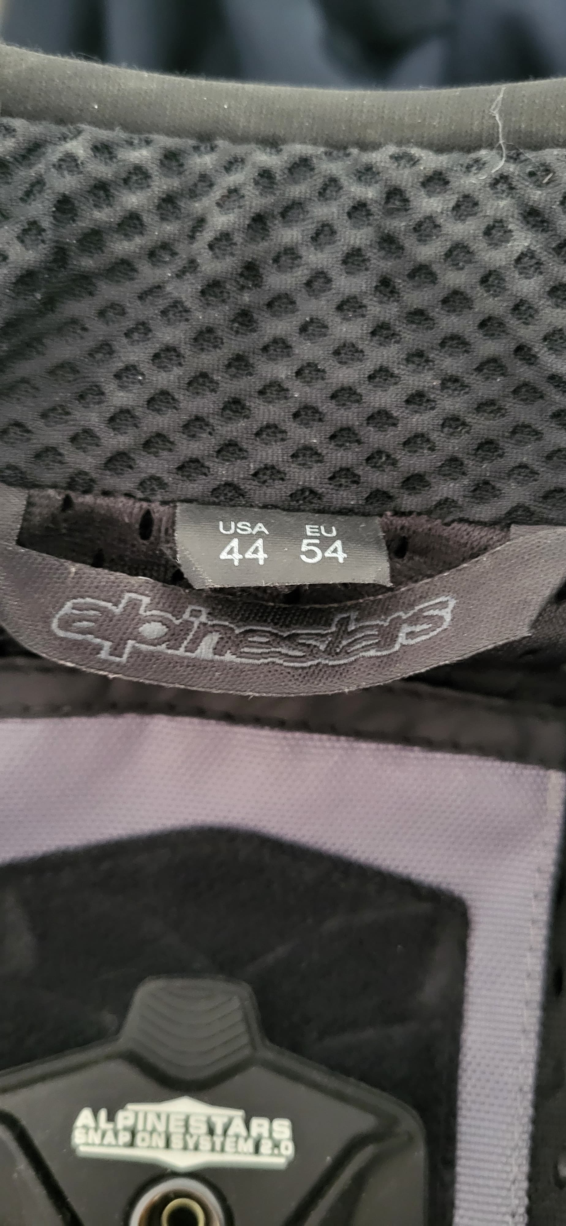 Veste moto cuir Alpinestar GP plus R v2 LEATHER JACKET - — photo 3/4