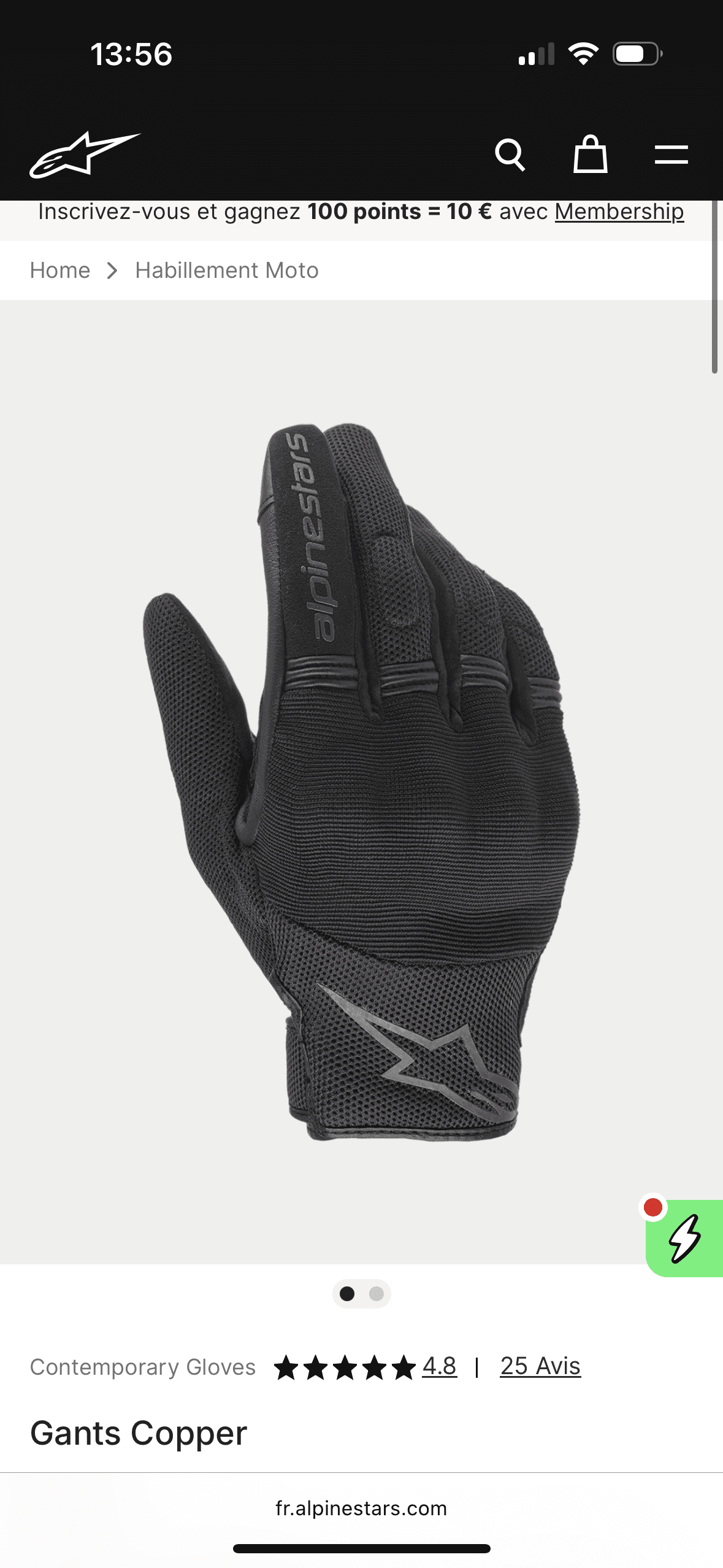 Gants Alpinestars moto Cooper - Taille L - État correct