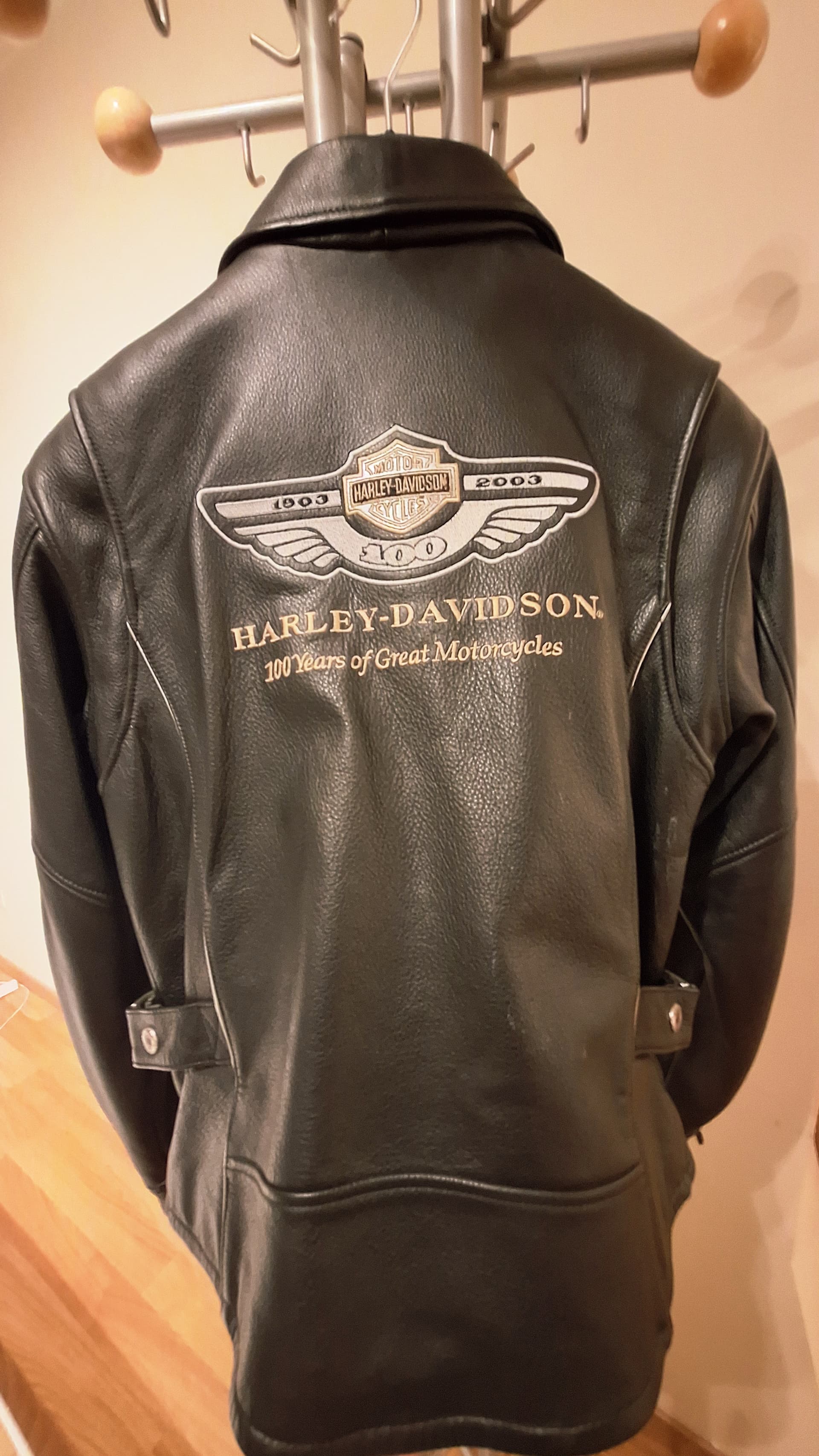 Veste Cuir Harley-Davidson - Édition Collector 100ème Anniversaire (1903-2003) — photo 2/5