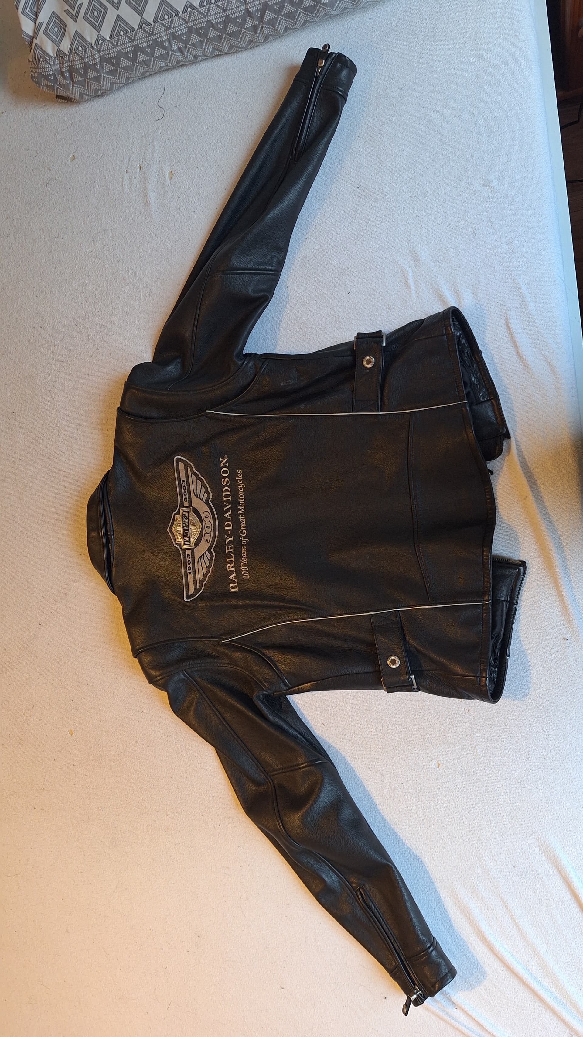 Veste Cuir Harley-Davidson - Édition Collector 100ème Anniversaire (1903-2003) — photo 5/5