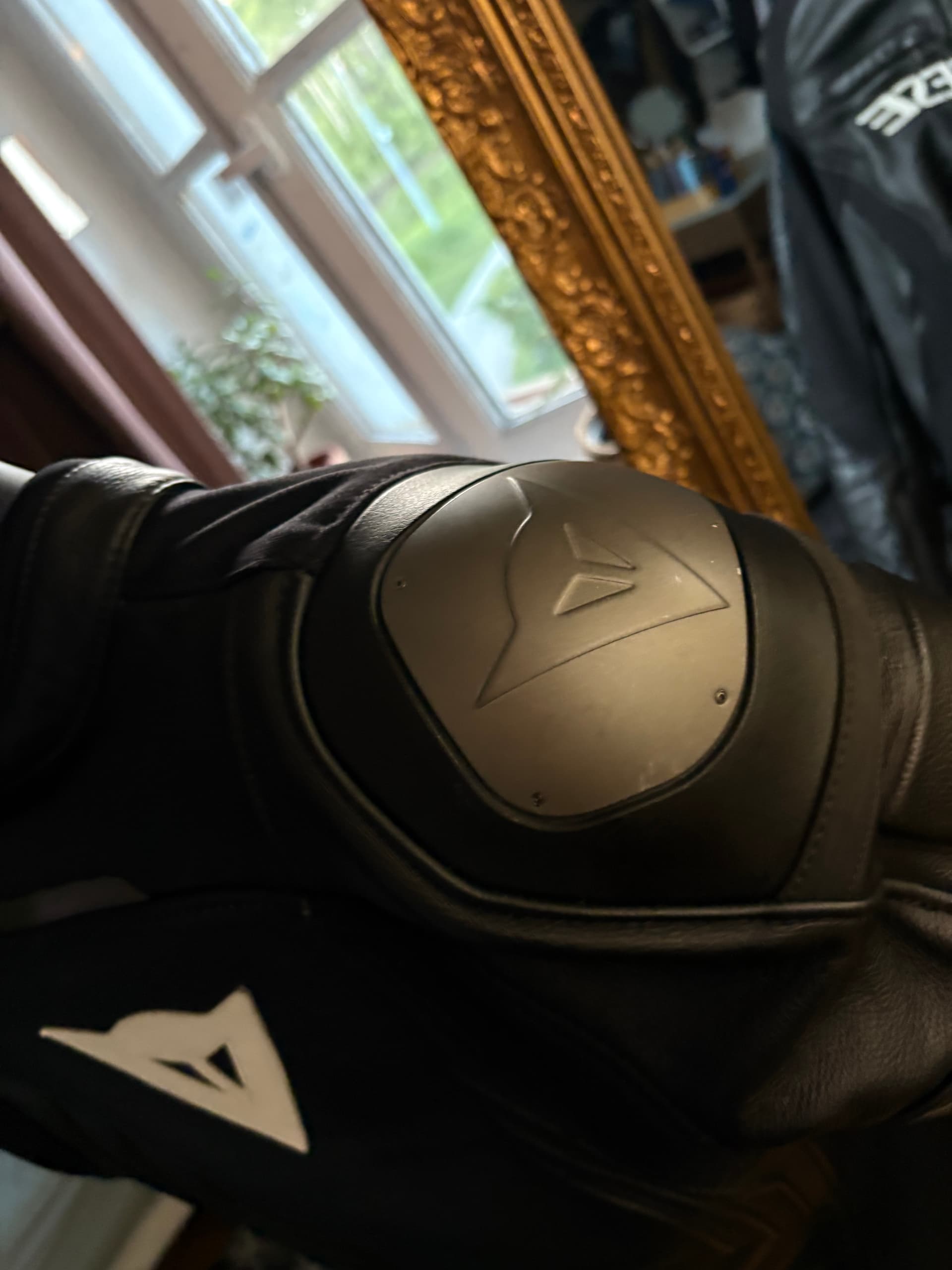 Blouson Dainese Lady Racing 4 — photo 6/6