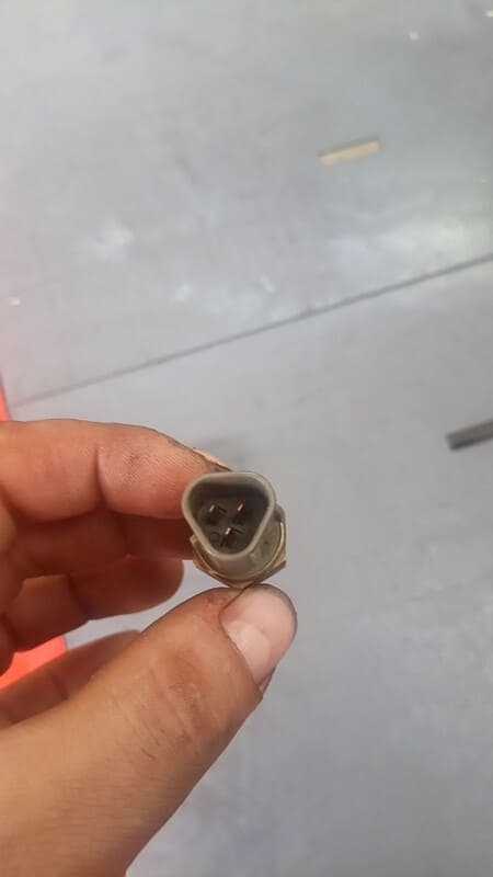 capteur sonde de température Honda 600 CBR 05-06 pc37 — photo 2/2