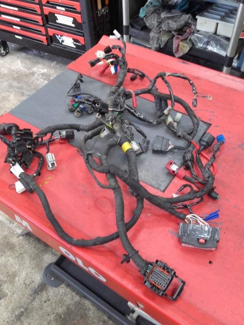 faisceau électrique KTM 125 RC 14-20 — photo 1/3