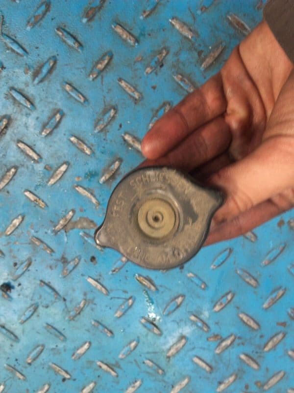 Bouchon de radiateur Triumph Sprint RS 955 i 02-04 — photo 1/1