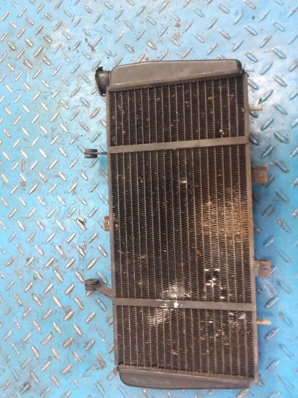 radiateur Triumph Sprint RS 955 i 02-04 — photo 1/2