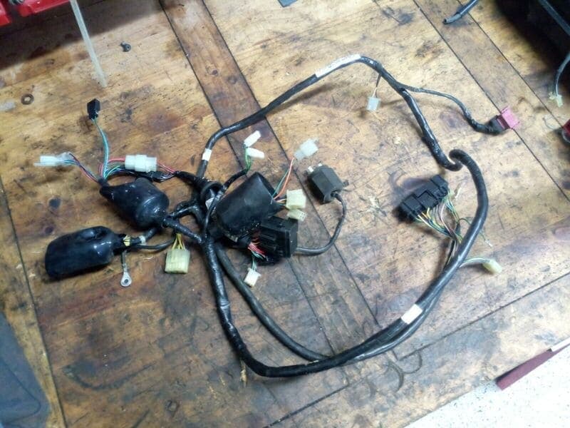 Faisceau électrique Honda 125 SH 01-04 jf09a — photo 1/1